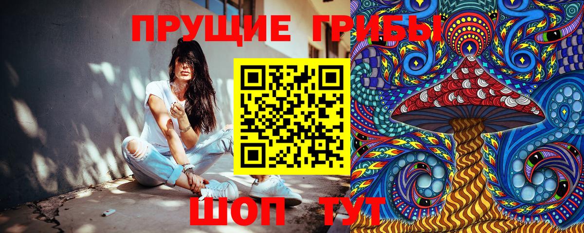 Псилоцибиновые грибы Psilocybine cubensis  Псилоцибиновые грибы прущие грибы  Верхняя Пышма  Вход с VPN 